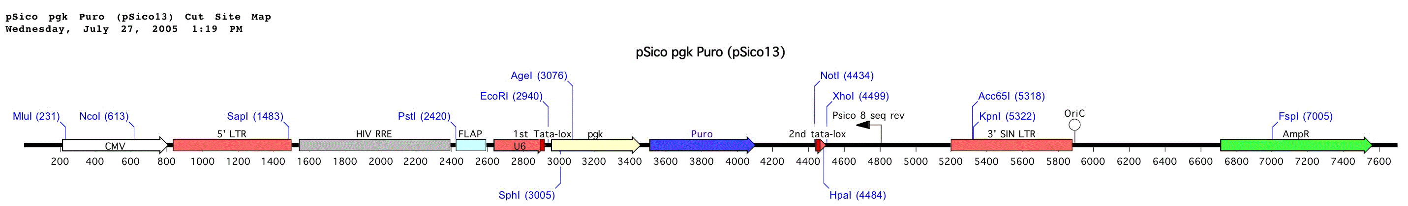 pSico PGK Puro载体图谱 点击看大图 pSico PGK Puro载体图谱